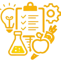New Product Development